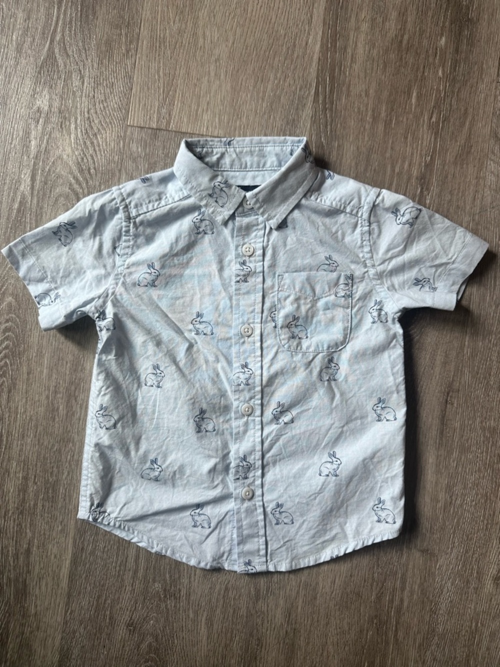 The Children's Place 2T Boys Blue Bunny button up